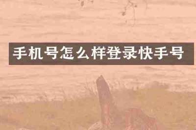 手机号怎么样登录快手号