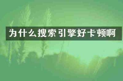 为什么搜索引擎好卡顿啊