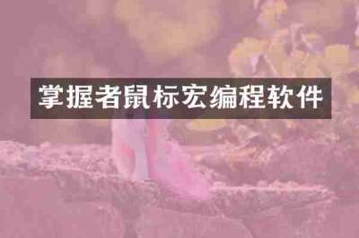 掌握者鼠标宏编程软件