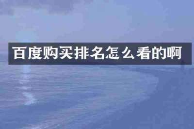 百度购买排名怎么看的啊