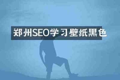 郑州SEO学习壁纸黑色