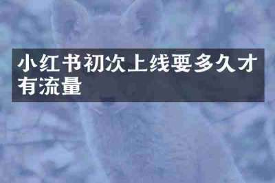 小红书初次上线要多久才有流量