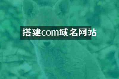 搭建com域名网站