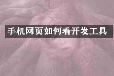 手机网页如何看开发工具