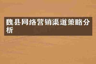 魏县网络营销渠道策略分析