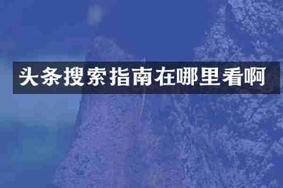 头条搜索指南在哪里看啊