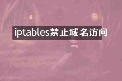 iptables禁止域名访问