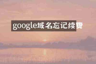 google域名忘记续费