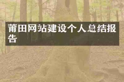 莆田网站建设个人总结报告