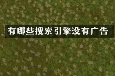 有哪些搜索引擎没有广告