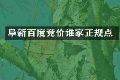 阜新百度竞价谁家正规点