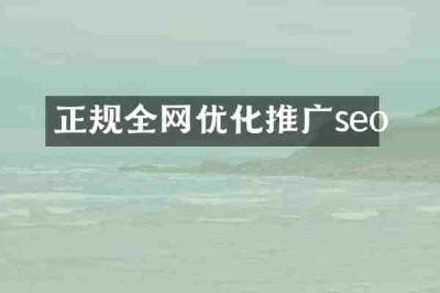 正规全网优化推广seo