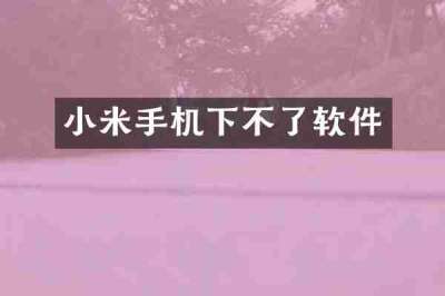 小米手机下不了软件
