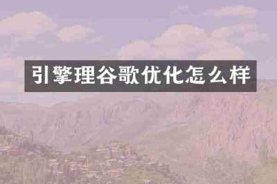 引擎理谷歌优化怎么样