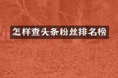 怎样查头条粉丝排名榜