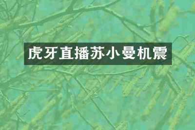 虎牙直播苏小曼机震