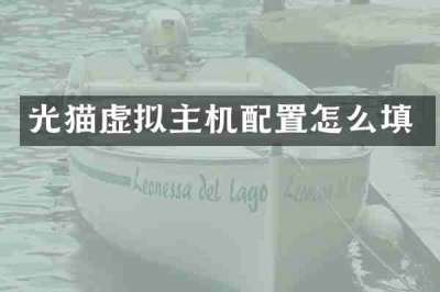 光猫虚拟主机配置怎么填