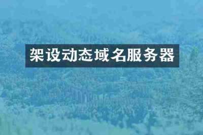 架设动态域名服务器
