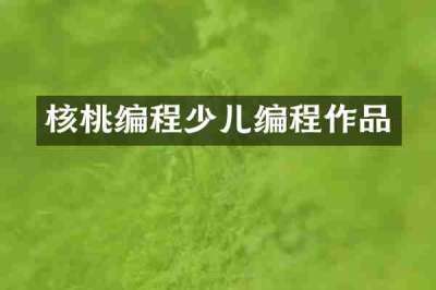 核桃编程少儿编程作品