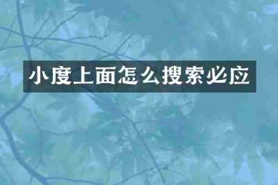 小度上面怎么搜索必应