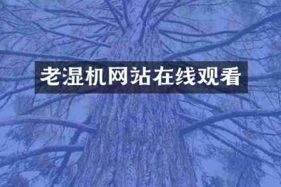 老湿机网站在线观看