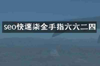 seo快速柒金手指六六二四