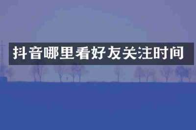 抖音哪里看好友关注时间