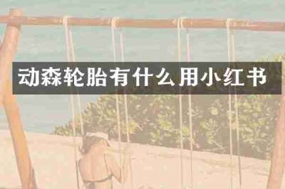 动森轮胎有什么用小红书