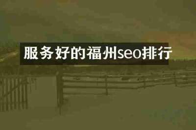 服务好的福州seo排行