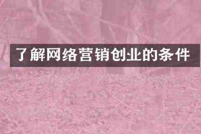 了解网络营销创业的条件