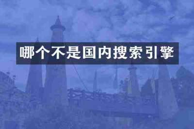 哪个不是国内搜索引擎
