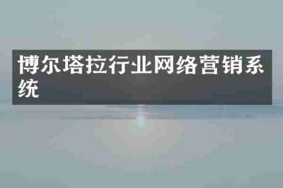 博尔塔拉行业网络营销系统