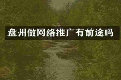 盘州做网络推广有前途吗