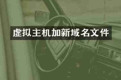 虚拟主机加新域名文件
