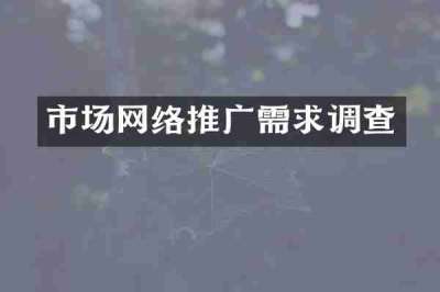 市场网络推广需求调查