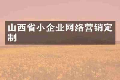 山西省小企业网络营销定制