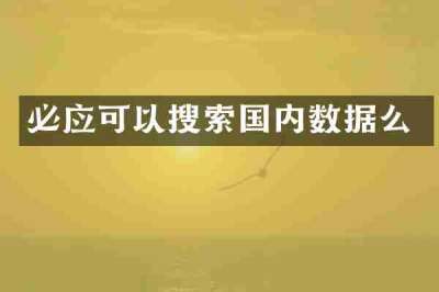 必应可以搜索国内数据么