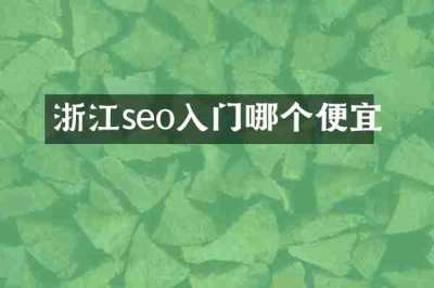 浙江seo入门哪个便宜