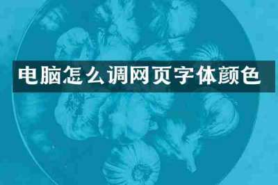 电脑怎么调网页字体颜色