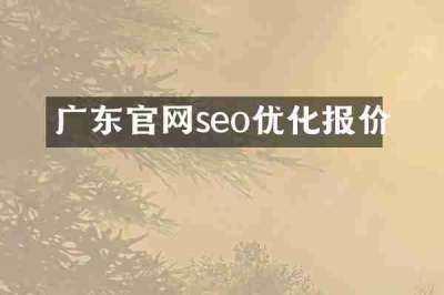 广东官网seo优化报价