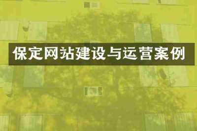 保定网站建设与运营案例