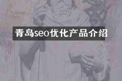 青岛seo优化产品介绍