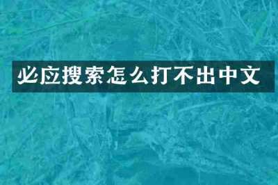 必应搜索怎么打不出中文
