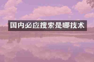 国内必应搜索是哪技术