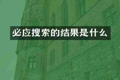 必应搜索的结果是什么