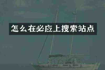 怎么在必应上搜索站点