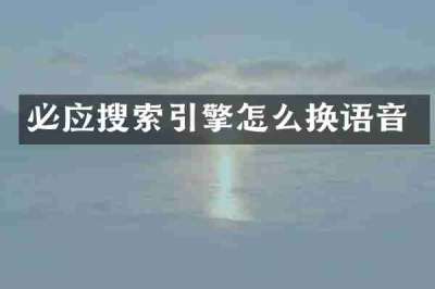 必应搜索引擎怎么换语音