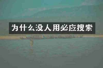 为什么没人用必应搜索