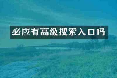 必应有高级搜索入口吗