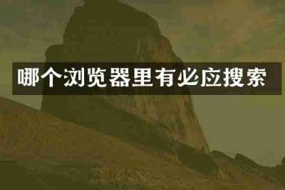 哪个浏览器里有必应搜索